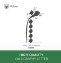 Farsi Calligraphy: Letter Meem